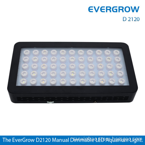 120W Blue/White LED Aquarium Light for 20"-32" Fish Tank